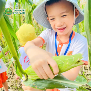 Trải nghiệm nông trại hè tại Thanh Trì Eco Farm