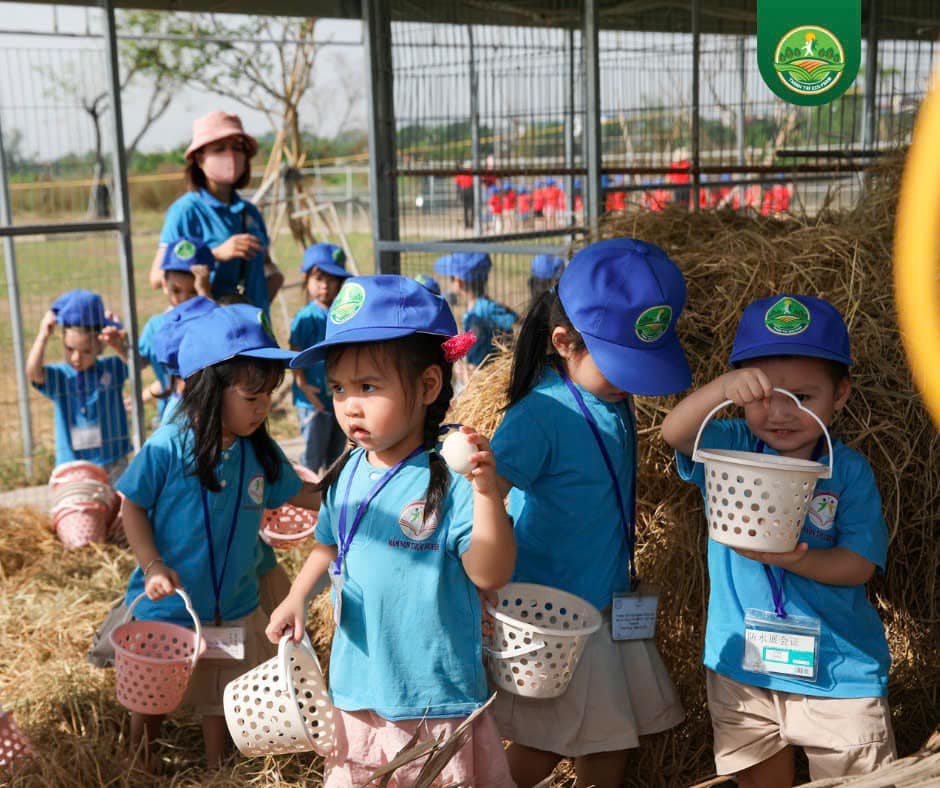 Thu hoạch trứng - Trải nghiệm nông nghiệp thực tế
